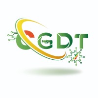 Congo Dream Tech logo - Similar company to Point Sys