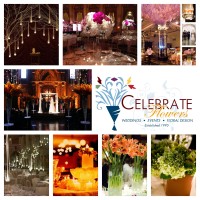 Celebrate Flowers logo - Similar company to Blankfi