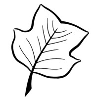 Taproot Strategic Advising logo - Similar company to Nunona