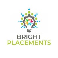 Bright Placements logo - Similar company to Noko Security