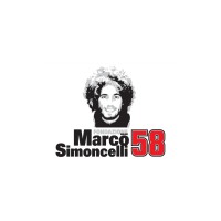 FONDAZIONE MARCO SIMONCELLI - ONLUS logo - Similar company to Mapthemap.Com