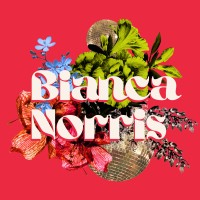 Bianca Norris logo - Similar company to Adornment + Theory