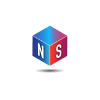 Netsolin logo - Similar company to Bot-Ia