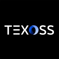 TEXOSS logo - Similar company to Workstation 101