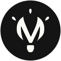 Maystrem Media logo - Similar company to Golfview Suites