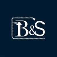 B&S Gestão Pública logo - Similar company to Nexos Gestão Pública