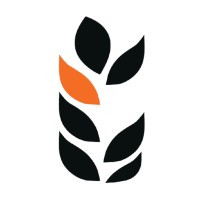 Rebel Grains logo - Similar company to Grains Green
