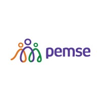 PEMSEOFICIAL logo - Similar company to Pemse