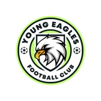 Young Eagles FC logo - Similar company to Turf City Football Club
