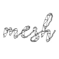 Mesh Studios logo - Similar company to Mesh Masters