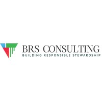 BRS Consulting logo - Similar company to Jmb Advisors