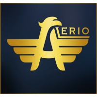 Alerio logo - Similar company to Grand Security