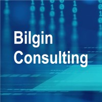 Bilgin Consulting logo - Similar company to Demirler A.Ş.