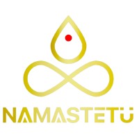 Namastetu Technologies logo - Similar company to E-Digital Master ™