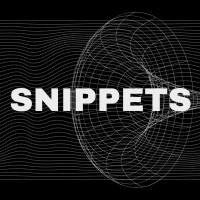 Snippets logo - Similar company to Id Robots
