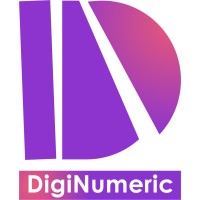 DigiNumeric logo - Similar company to Efficient Consultancy Services