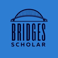 Bridges Scholar logo - Similar company to Transvision Consulting