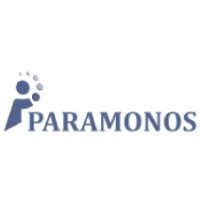 PARAMONOS TECHNOLOGIES PVT. LTD.. logo - Similar company to Millennium Business Solutions Group, Inc.
