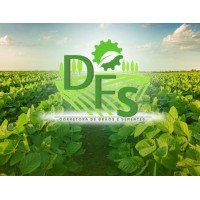 DFS Corretora e Classificadora de Grãos logo - Similar company to Conecta Agro - Corretora De Grãos