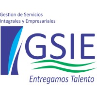 Gestión De Servicios Integrales Y Empresariales