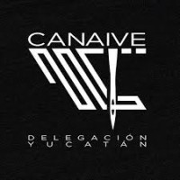 Cámara Nacional de la Industria del  Vestido delegación Yucatán (Canaive Yucatán) logo - Similar company to Canaive Nacional - (Cámara Nacional De La Industria Del Vestido)
