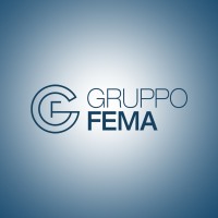 Gruppo FEMA logo - Similar company to Medmob