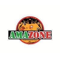 Amazone Indonesia logo - Similar company to Timezone Games