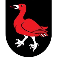 RedGoose LLC logo - Similar company to Managed It Systems - Acquired By The 20 Msp