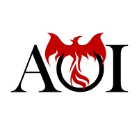 Aging Out Institute logo - Similar company to Care Package Inbound