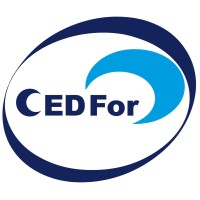Cedfor Service - Consulenza & Formazione per l'Azienda logo - Similar company to Dnv Gl Training