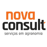 NovaConsult logo - Similar company to Confer Consultoria