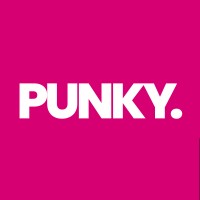 Punky logo - Similar company to Dsigned
