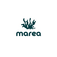 Marea Oslo logo - Similar company to Beehive Project As