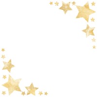 Ze'xpress logo - Similar company to Gopermis