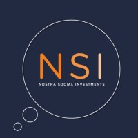 NSI Consultants logo - Similar company to Vani