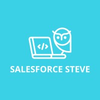 Salesforce Steve, LLC logo - Similar company to Flexhire Consulting