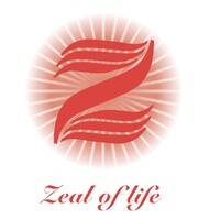 Zorway International logo - Similar company to Bayxis Capital