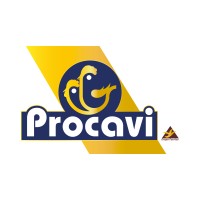 Procavi logo - Similar company to Procavi