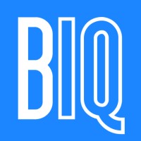 Brand IQ logo - Similar company to Northeast Brand Iq Technologies Ltd.