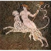 Dionysus logo - Similar company to Craftbeer Import