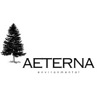 Aeterna Environmental LLC logo - Similar company to Tasknova Consultancy