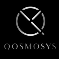 Qosmosys logo - Similar company to In.Genius