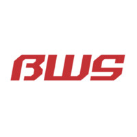 Business Wise Solutions Inc logo - Similar company to Onenest