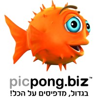 Picpong LTD logo - Similar company to Koren Visual Solutions
