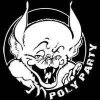 PolyParty logo - Similar company to Lava - Laboratoire D'Analyse Vibratoire Et Acoustique