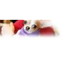 South Bellmore Veterinary Grp
