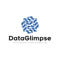 DataGlimpse Insights logo - Similar company to Naneye