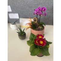 Faezeh logo - Similar company to Örmeci̇ Çorap