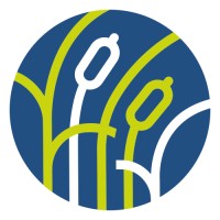 Roseau Technologies logo - Similar company to Erplain