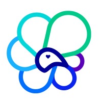 BirdyLauncher logo - Similar company to Leaderbridge®